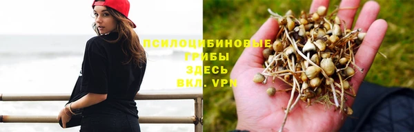 мескалин Приозерск
