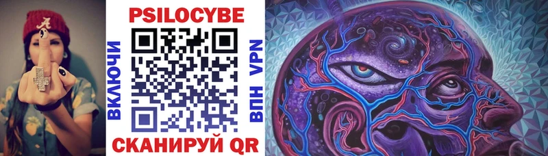 ОМГ ОМГ зеркало  Калачинск  Псилоцибиновые грибы Psilocybine cubensis 