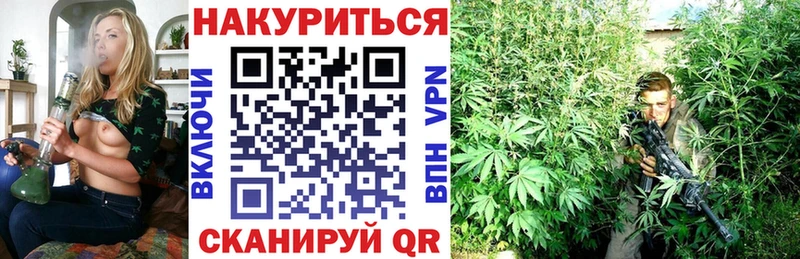 Бошки марихуана семена  купить   Калачинск 